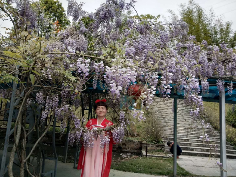 莉莉的第一张照片--福鼎婚介网